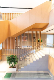 A Workplace Designed for Collaboration, Creativity, and Well-Being