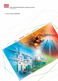 Interim Report 2008/2009